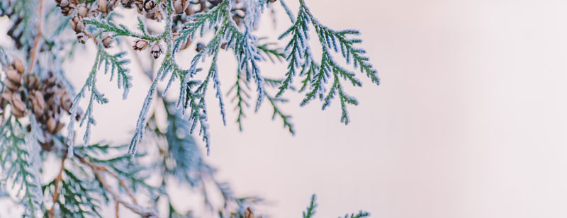 Gottesdienst zum 12. Dezember | 3. Advent